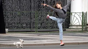 Animalele de companie sunt benefice pentru sănătatea copiilor. Ce spun specialiştii