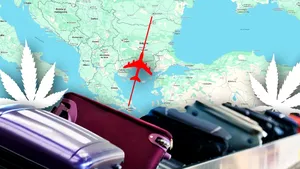 Un albanez, reţinut pe Aeroportul Otopeni cu 26 kg de canabis în bagaje | EXCLUSIV