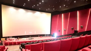Mii de oameni călătoresc sute de kilometri doar ca să vadă același film. Explicația fenomenului