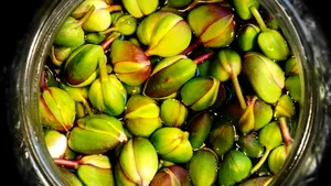 „Super-murătura” mediteraneană ideală pentru salate: scade glicemia și are efect antiinflamator