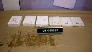 International Drug Ring Leader Arrested In Bucharest