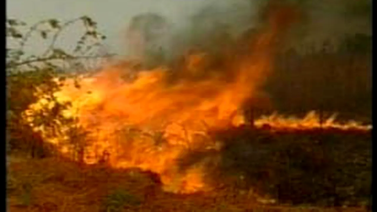 Două incendii de vegetaţie uscată în Dolj au afectat 230 de hectare de teren