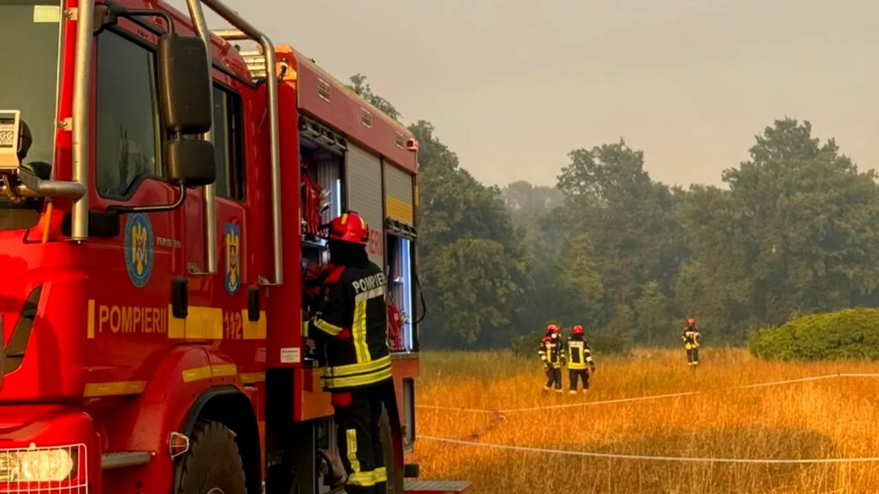 Două incendii au mistuit zeci de hectare de pădure, într-un județ din vestul României. Elicopterul IGAv, chemat la intervenție