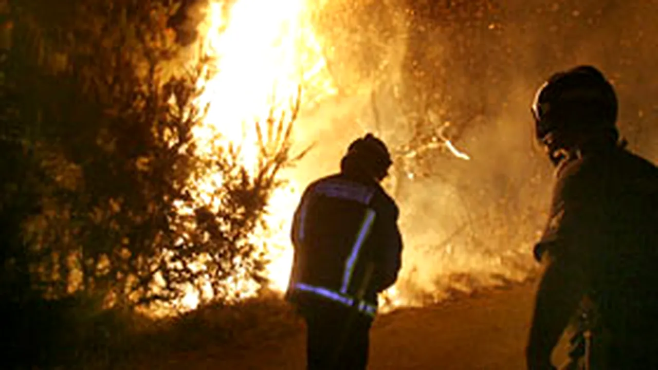 Şapte persoane inculpate începând de sâmbătă, în cazul incendiilor din Grecia