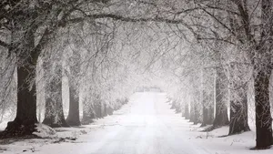 METEO Vremea în februarie. ANM avertizează că poate fi o lună imprevizibilă, cu contraste și variații termice importante