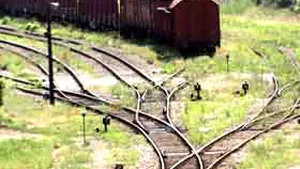 Ministerul Transporturilor mizează pe minim un miliard de euro din privatizarea CFR Marfă