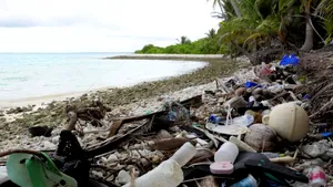 Ultimul paradis virgin al Australiei, împânzit de 414 milioane de bucăţi de plastic | FOTO, VIDEO