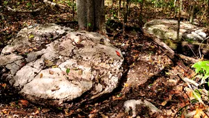 DESCOPERIRE arheologică în jungla mexicană: Un oraş MAYA, ascuns mai mult de un mileniu, a fost scos la lumină - GALERIE FOTO