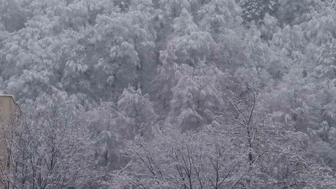 Turist belgian blocat în Masivul Piatra Craiului, salvat după trei zile 