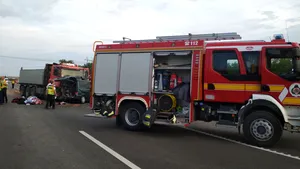 Carmen Dan: Poliţiştii români şi cei unguri vor patrula în apropierea frontierei, după accidentul din mai 