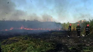 Incendiu în Delta Văcăreşti - FOTO