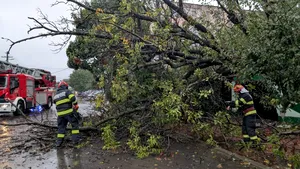 Fenomene meteo extreme: Inundații, copaci căzuți și avarii electrice în 64 de localități