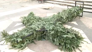 Crucea de Bobotează de la Iaşi a fost construită din ramuri de la cinci brazi deoarece nu există zăpadă