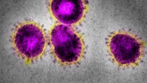 China refuză participarea OMS în investigaţia cu privire la originea noului coronavirus
