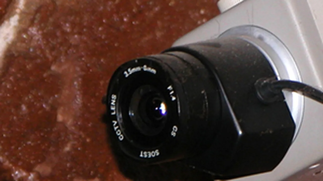 1-article-photo 