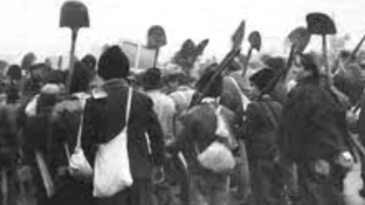 ISTORIA FĂRĂ PERDEA Marius Oprea / ”Raiul” de la Sîntana şi Creatorul său, tovarăşul Goina – la loc de cinste, în 2022
