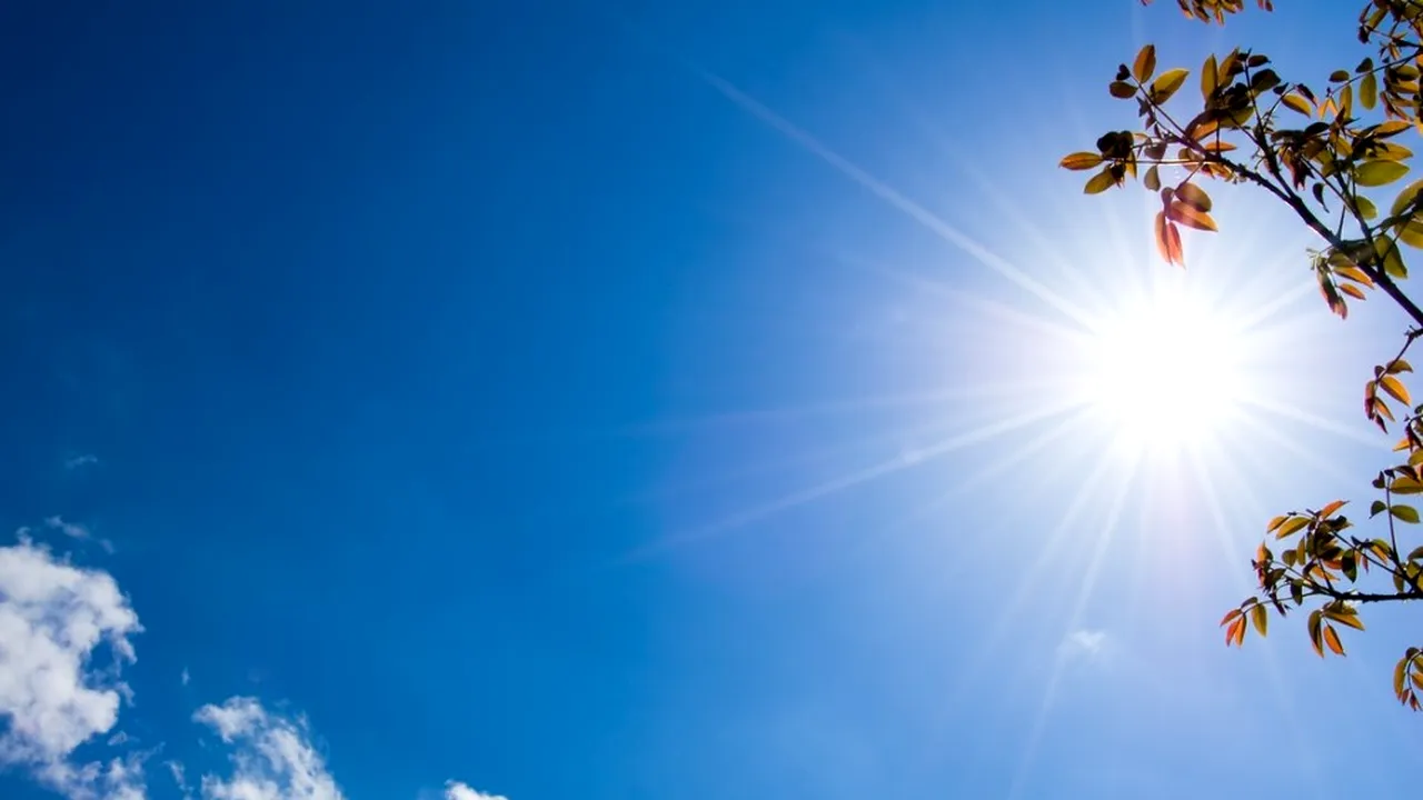 Anul 2020 ar putea deveni cel mai fierbinte an. Temperatura globală medie a fost cu 1,2 grade Celsius mai mare