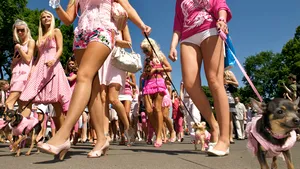 România vrea să atragă turişti scandinavi