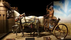 Tutankhamon a murit după ce a condus băut într-o cursă cu cai 