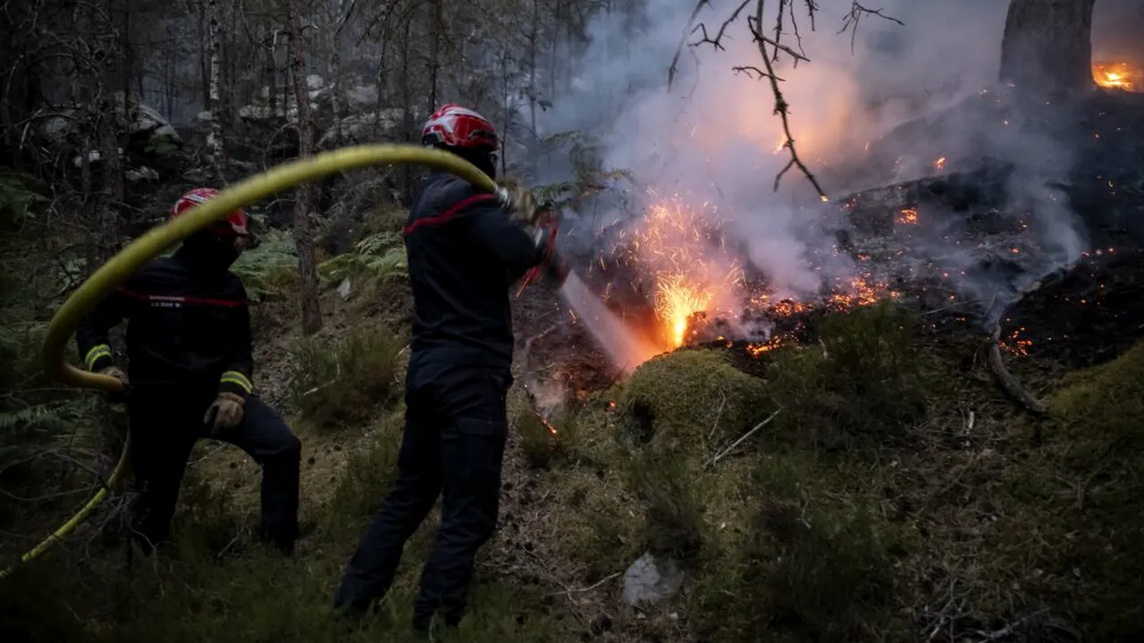 Doi pompieri francezi au murit în urma stingerii unui incendiu lângă aeroportul din Bordeaux