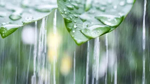 Cod galben de ploi, în trei sferturi din ţară, valabil de luni seară până miercuri dimineaţa. Harta judeţelor afectate / Prognoza meteo pentru toată România