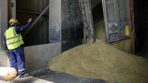 FOTO. O zi în portul Constanţa. Iată cum se desfăşoară transportul cerealelor ucrainiene prin România. Transporturile sunt vitale pentru a evita o criză alimentară globală