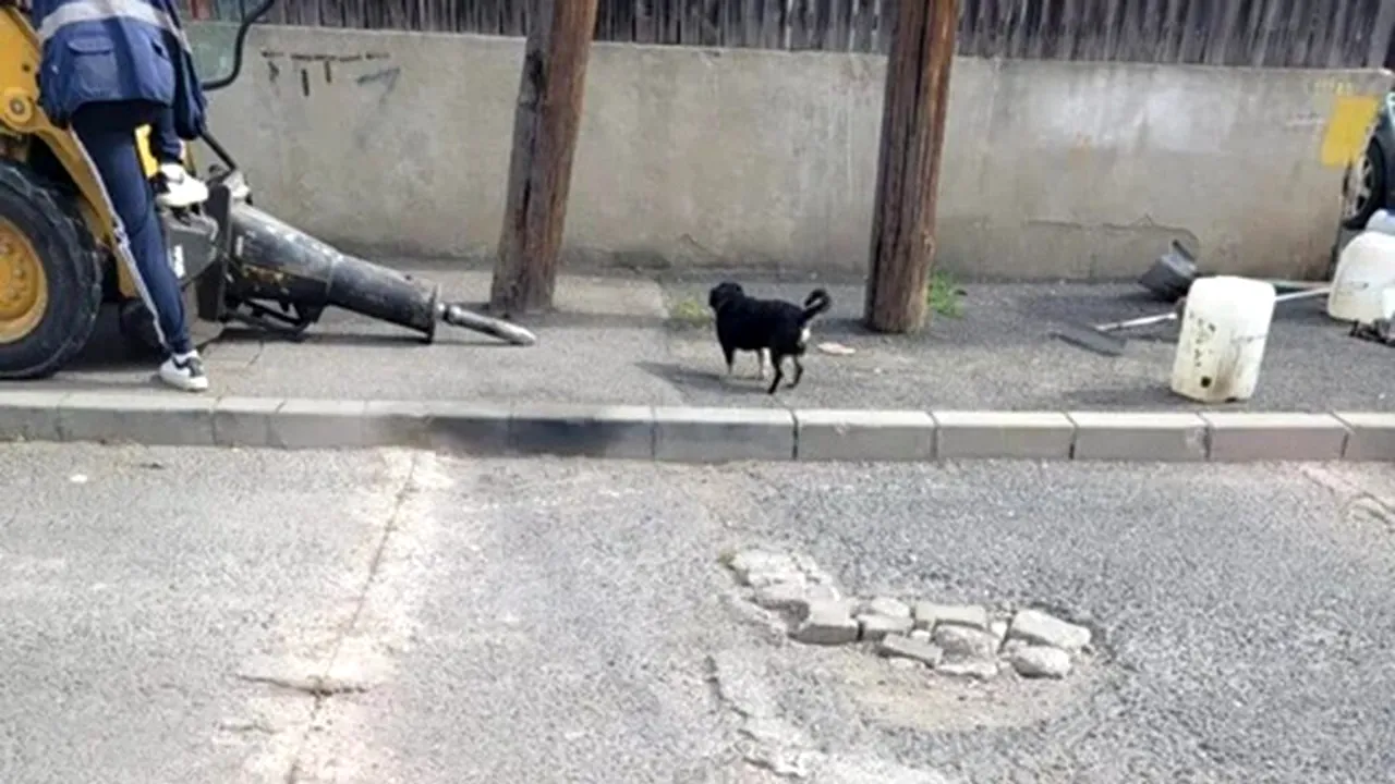 Infrastructură S5. S-au efectuat lucrări pe strada Lăstunului (P)