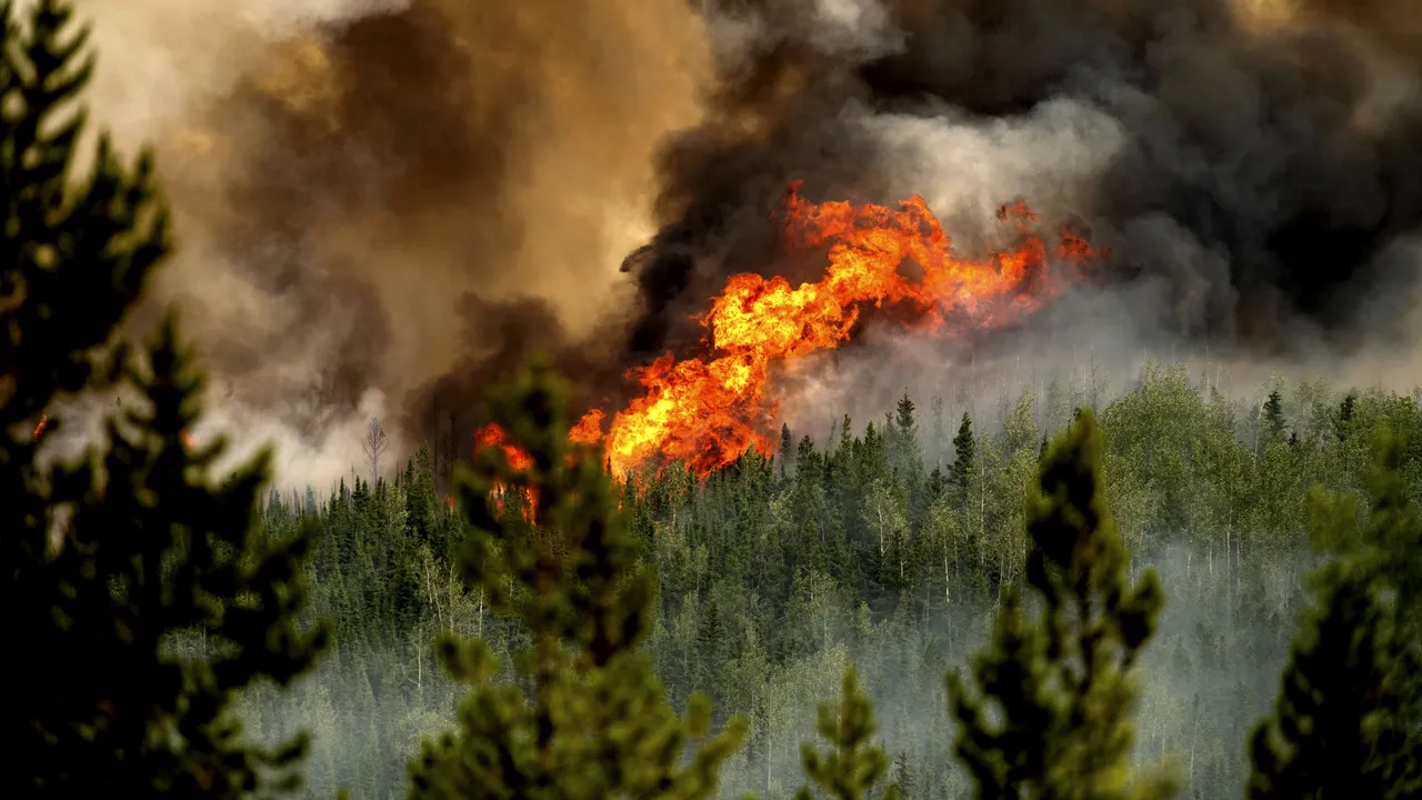 Ziua UE pentru victimele crizei climatice mondiale va fi marcată, începând din acest an, în 15 iulie