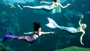 Vezi aici câteva idei trăsnite de vacanţă