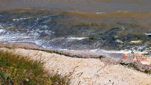 Un poliţist din Bucureşti aflat în vacanţă pe litoral a murit după ce i s-a făcut rău în mare