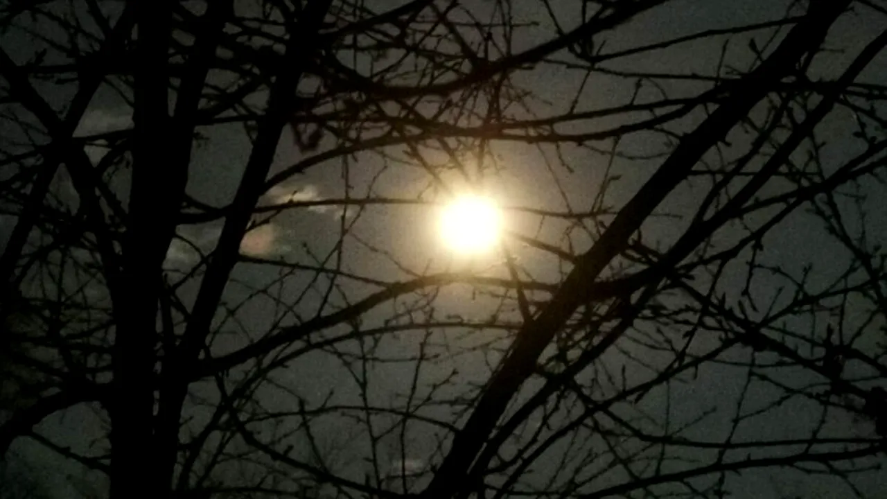 Luna Lupului și credințele iernii. Când se vede prima superlună din 2026?