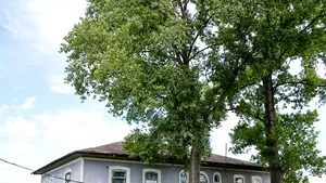 REPORTAJ: Conacul copilăriei din ”La Medeleni”, o ruină năpădită de buruieni într-un sat sărac - VIDEO, GALERIE FOTO