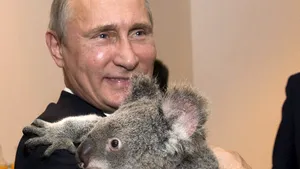 Moscova speră că ursul koala ţinut în braţe de Putin nu se află printre cei 700 ucişi în Australia