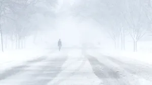 Alertă meteo | Cod galben de polei în patru judeţe. Recomandările Poliţiei Române