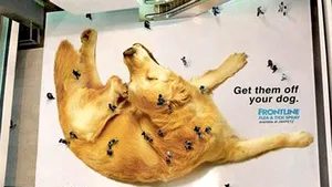 Care sunt cele mai ingenioase reclame stradale din lume