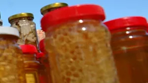Asociaţia Crescătorilor de Albine: S-a raportat de două ori mai multă miere decât s-a produs