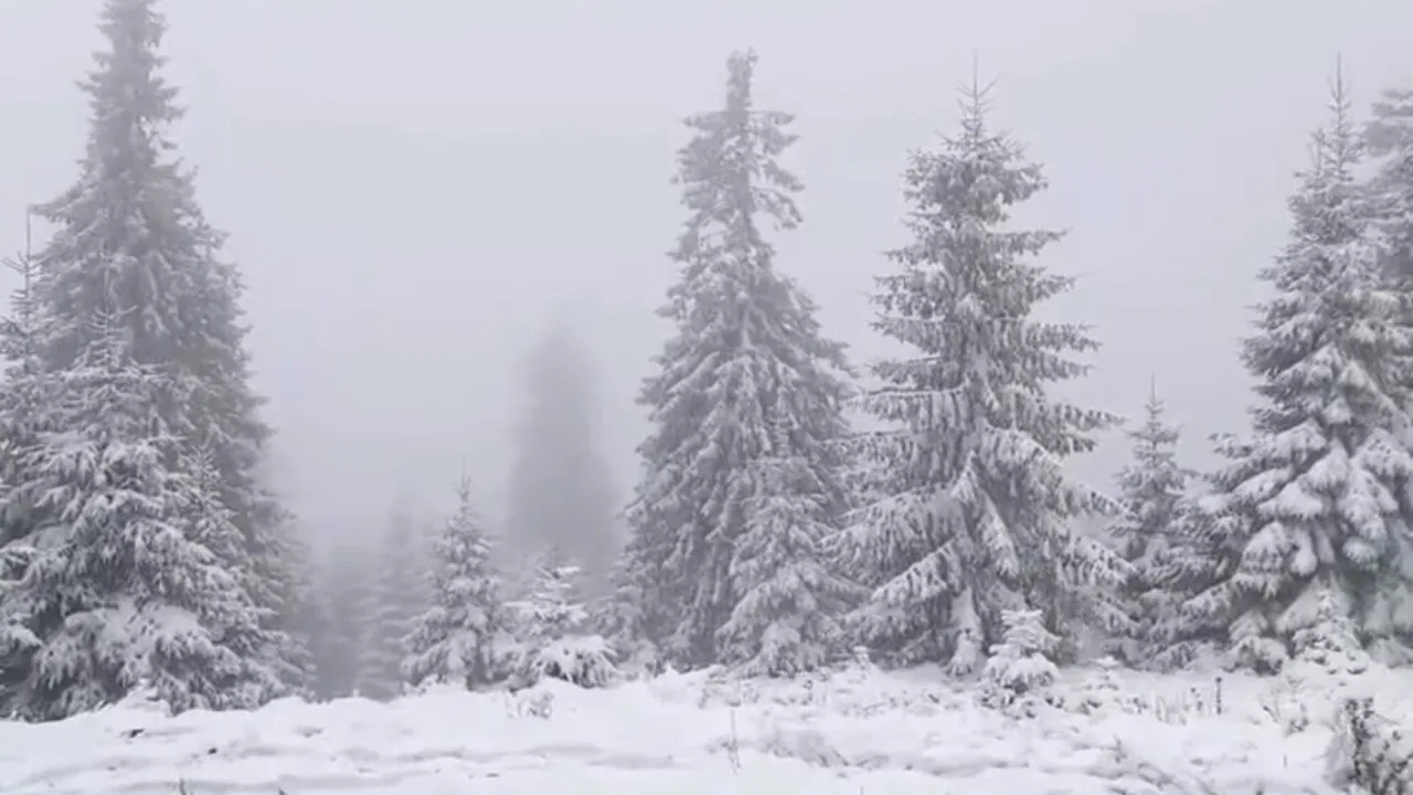 A nins în zona montană înaltă: Stratul de zăpadă a ajuns la 3 centimetri la stația meteo Iezer
