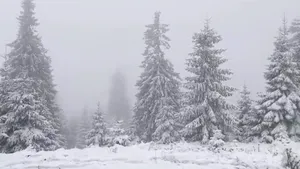 A nins în zona montană înaltă: Stratul de zăpadă a ajuns la 3 centimetri la stația meteo Iezer