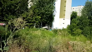 Zonă abandonată, în apropiere de centrul Capitalei. Locuitor: Numai balaurii nu au ieşit de acolo