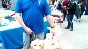 O universitate a recrutat cinci câini dintr-un motiv lăudabil. Rolul cheie al noilor ”asistenţi canini”