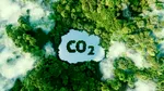 Contribuția Grupului SGS la un viitor mai verde: Reducerea amprentei de carbon