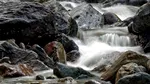 Nereguli grave descoperite de Apele Române. Amenzi de 2,58 milioane lei și 6 dosare penale