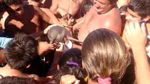 REVOLTĂTOR: Un delfin dintr-o specie rară a murit după ce a fost ţinut de turişti, pe o plajă, pentru selfie-uri 