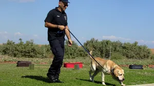 Baza de date cu ADN canin. O țară folosește o nouă metodă criminalistică pentru identificarea suspecților