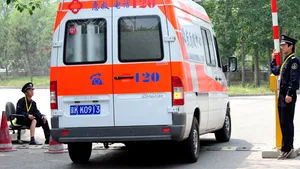 O marmotă, la originea pestei pulmonare din China
