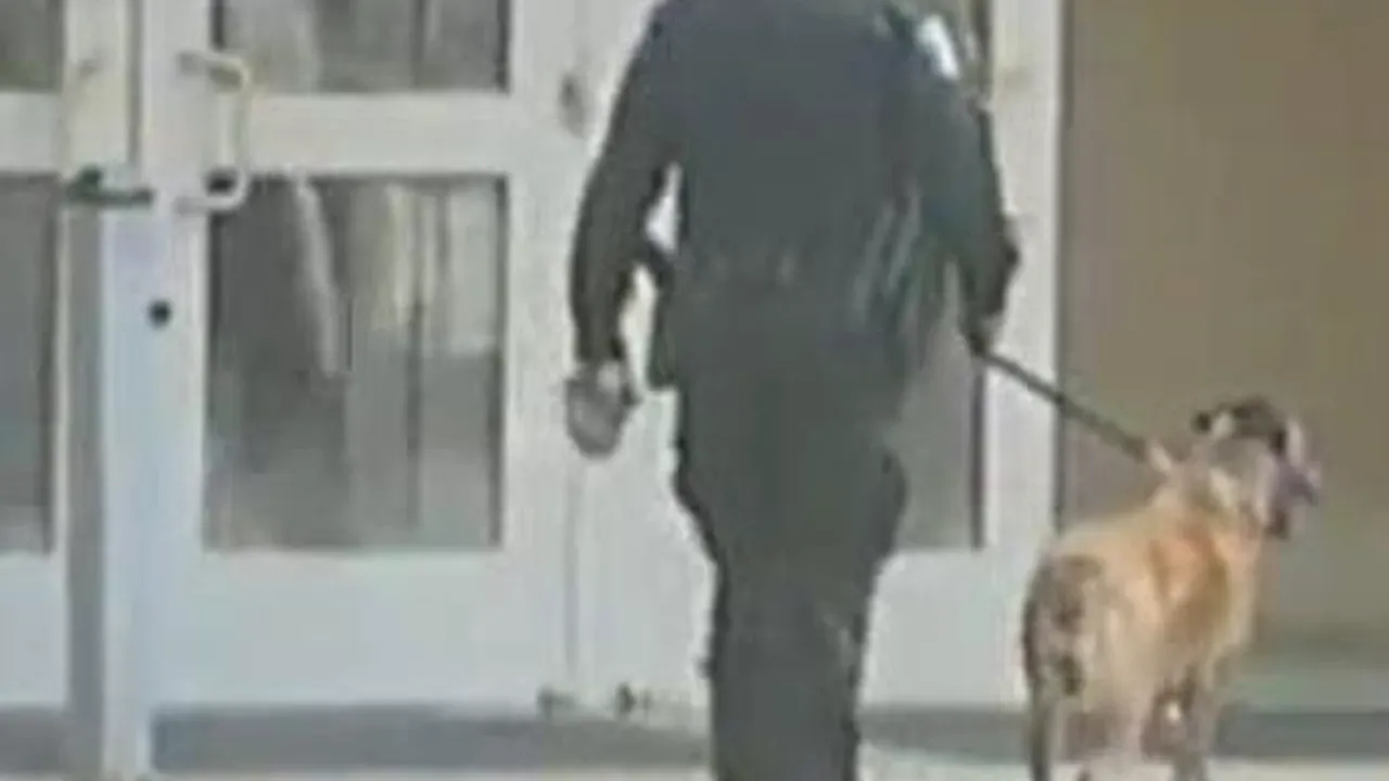 Ameninţări cu bombă la o universitate americană. Ce măsuri de securitate au fost luate - VIDEO