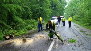 Un dispensar, un post de Poliţie şi cel puţin zece gospodării din Argeş, afectate de inundaţii