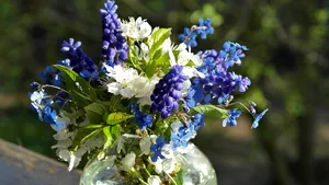 Cum să îți revitalizezi florile ofilite în doar 30 de minute cu ajutorul unui truc simplu