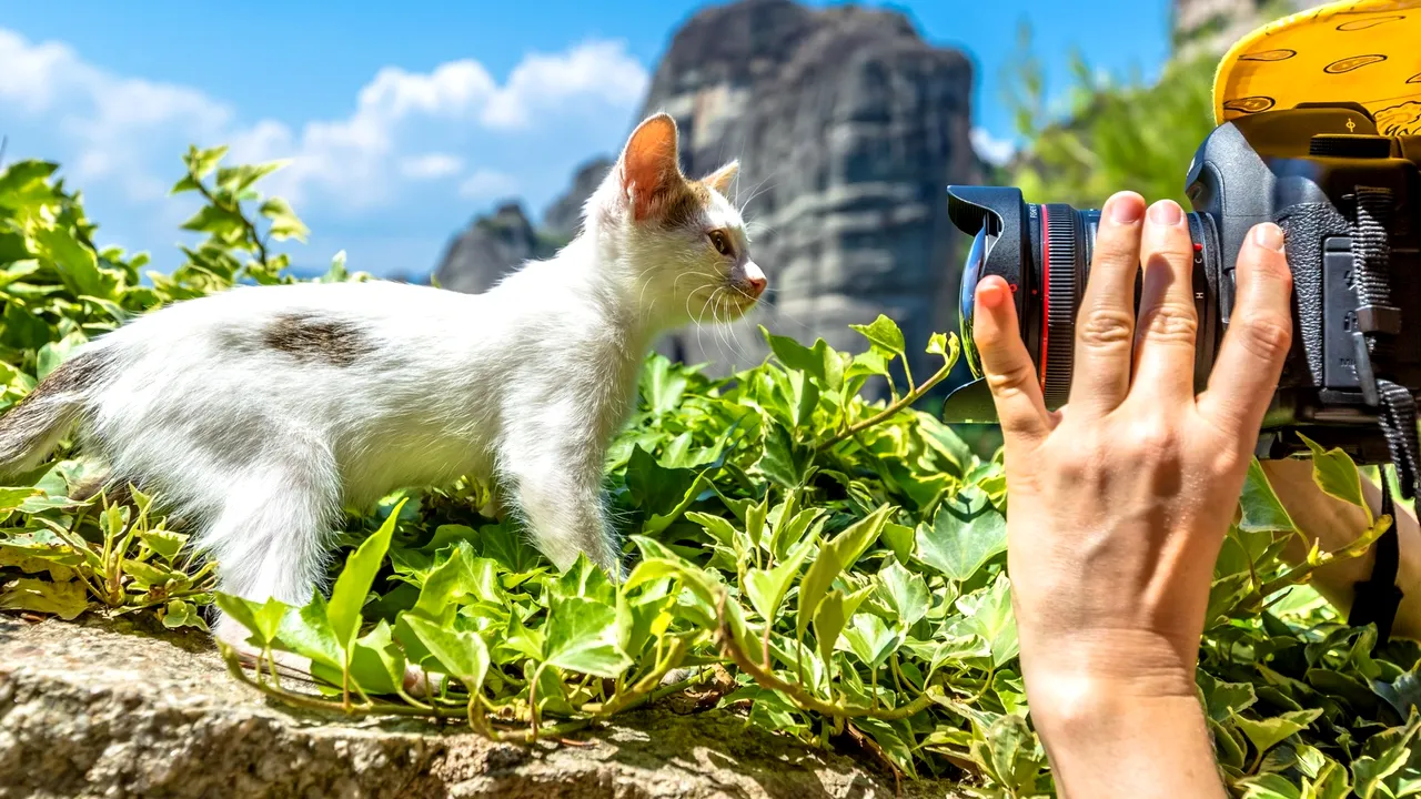 Vrei poze perfecte pentru Instagram? A aparut PictoApp, aplicaţia care funcţionează ca un Uber pentru fotografi 