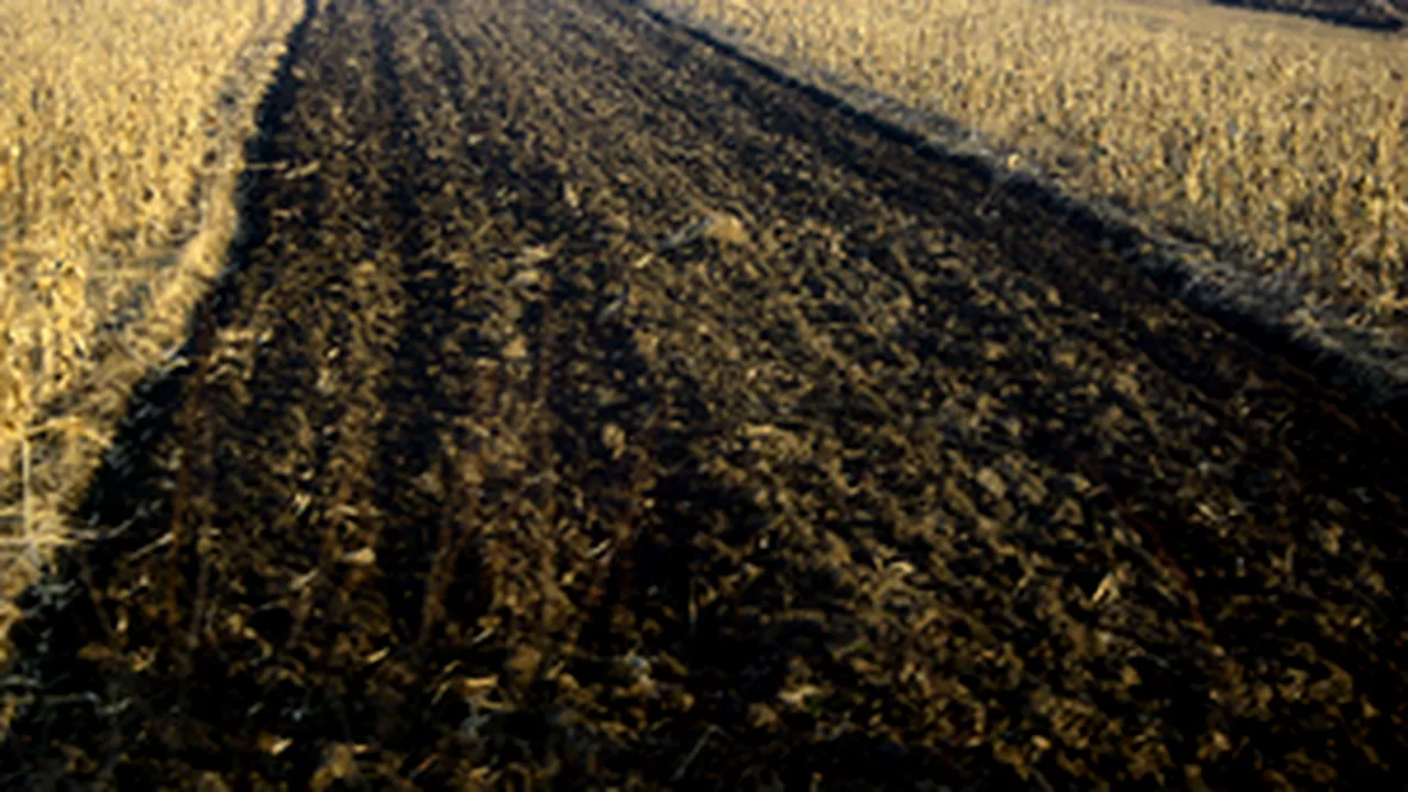 Romanian Agric Min Set To Complete New Irrigation Sys By March 2010